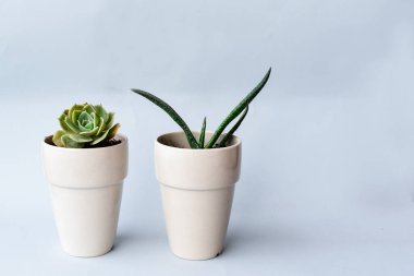 Gri ve Turuncu Arkaplanda Sulu