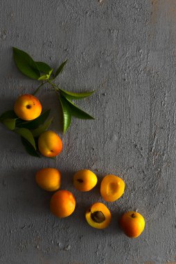 Tarçın Çubukları ve Yaprakları Gri Beton Arkaplanda Kayısı