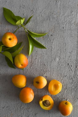 Tarçın Çubukları ve Yaprakları Gri Beton Arkaplanda Kayısı