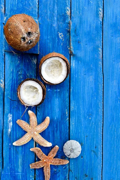 Noix Coco Étoiles Mer Coquillages Sur Fond Bois Bleu Brise — Photo