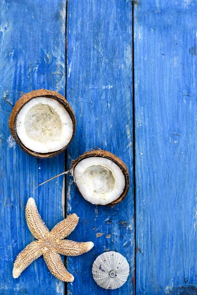 Coconut Starfish Sea Shell Blue Wooden Background Brisa Verano —  Fotos de Stock