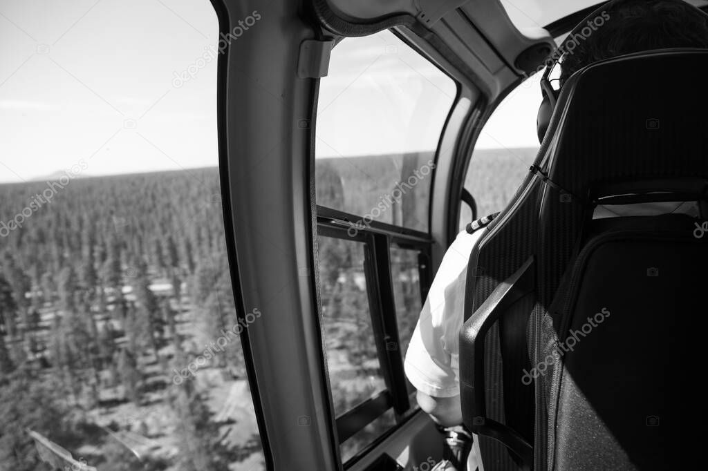 Close up from inside a helicopter while flying over the forest - California forest near Grand Canyon