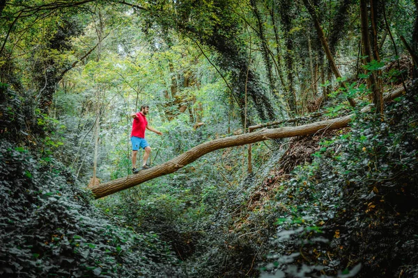 Man Balancing Tree Trunk Middle Forest Hiker Walking Mountains Balancing — Stock Photo, Image