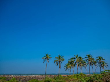 Sindhudurga kale duvarı, hindistan cevizi ağacı ve mavi gökyüzü.