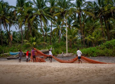 Malvan, Hindistan - 22 Aralık 2019: Hintli balıkçılar sabah Malvan sahilinde balık ağlarından taze balık avlıyorlar