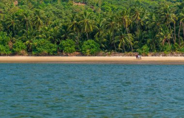 Malvan, Hindistan - 20 Aralık 2019: Mavi suları ve yeşil ağaçları olan güzel Nivati Sahili 'nde turist