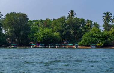 Malvan, Hindistan - 24 Aralık 2019: Hint Okyanusu 'nun güzel kıyıları, Tarkarli plajı ünlü turizm beldesi