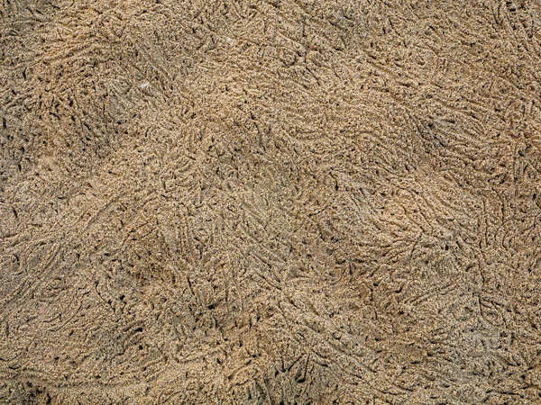 Natural Sand Balls Create Ghost Crabs Beach Making Nice Nature — Stock Photo, Image