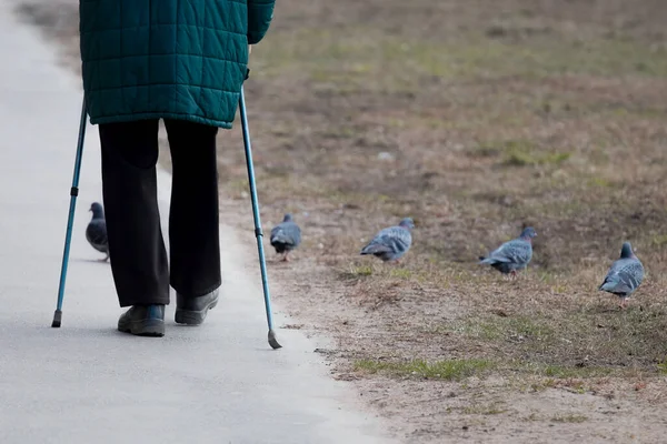 View Back Elderly Man Engaged Nordic Walking Sticks Park Asphalt — Stock Photo, Image