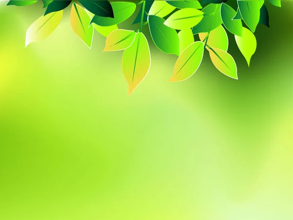 Gröna Blad Naturlig Bakgrund Färska Vårgröna Blad Över Suddig Vektor — Stock vektor