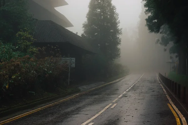 Terk edilmiş Monte Palace Oteli yakınlarındaki sisli yol, Azores, Portekiz