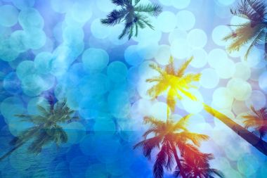 Hindistan cevizi ağaçları ile plajda, filtre renkli bokeh.