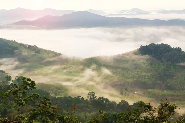 Manzara sis ve bulutlar, dağ arka plan.