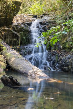 Kendiliğinden akan şelale dağdan aşağı akar..