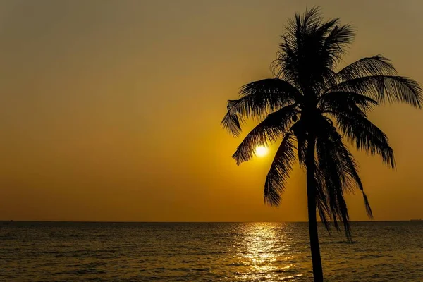 海滨的椰子树的轮廓和日落是背景 — 图库照片