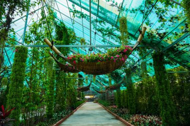 Tünel geçidinde Vegetation 'da.