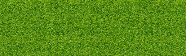 Realistické Klasické Fotbalové Hřiště Dvoubarevným Zeleným Povlakem Pozadí — Stockový vektor
