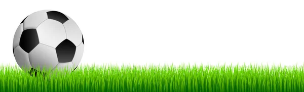 Realistyczna Piłka Nożna Zielonym Trawniku Panorama — Wektor stockowy