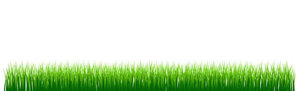 Zelená Šťavnatá Tráva Bílém Pozadí Panorama — Stockový vektor