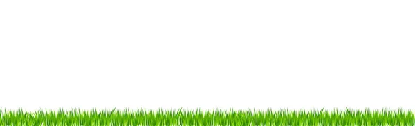 Πράσινο Ζουμερό Γρασίδι Λευκό Φόντο Panorama — Διανυσματικό Αρχείο
