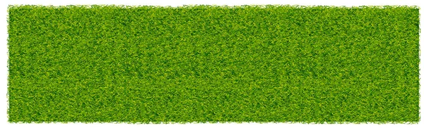 Herbe Verte Juteuse Sur Fond Blanc Panorama — Image vectorielle