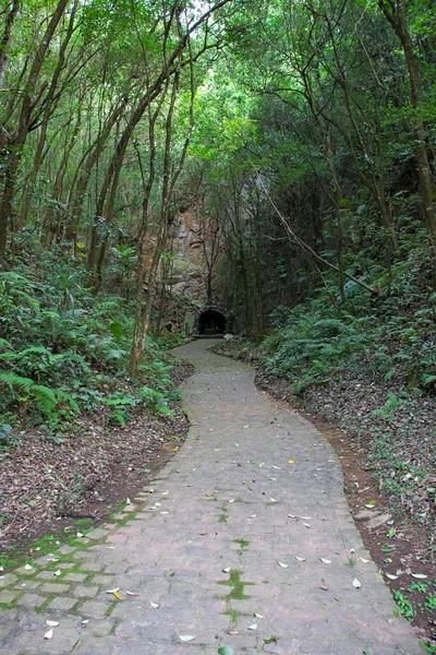 Brezilya Nın Colombo Kentindeki Bacaetava Grotto Belediye Parkı Nda Tropikal — Stok fotoğraf