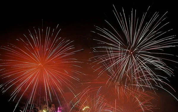 夜空に美しい花火 記念日 お祝い 今年のイベントの概念 楽しさと祭り — ストック写真