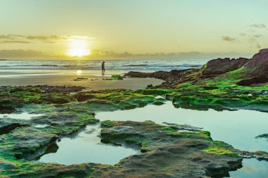 Yüksek gelgitle bu resifin büyük bir kısmı suyla kaplıdır. Ama sular çekildiğinde bunu görmek muhteşemdir.