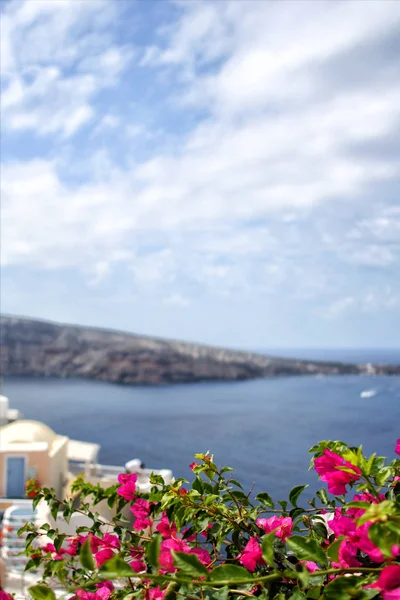 Santorini Island, Yunanistan. Oia, Fira town. Ünlü ve geleneksel evleri ve kiliseleri Caldera, Ege Denizi üzerinde — Stok fotoğraf