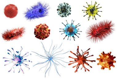     Virüs ve bakteriler büyük koleksiyonu. Virüs ve bakteriler beyaz arka plan üzerinde izole detaylı tıbbi çizimi 