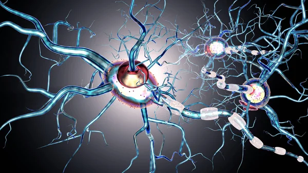 Nervceller, koncept för neurodegenerativa och neurologiska sjukdomar, tumörer, hjärnan kirurgi. 3D-rendering — Stockfoto