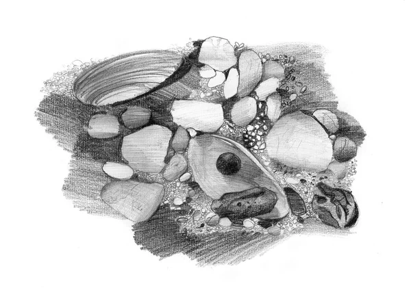 原始绘图，艺术品、 天然海水浴场，用小石子和贝壳 — 图库照片