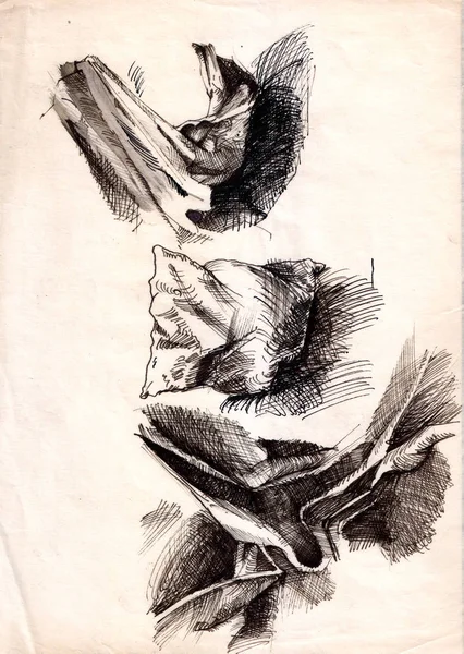 Doku, perdelik, eski kağıt üzerinde Sepia.Original el çizimi karakalem Material.Classic — Stok fotoğraf