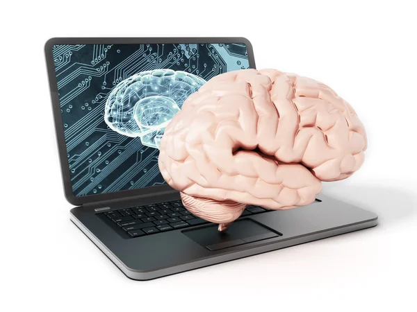 Cervello in piedi sulla tastiera del computer portatile. Illustrazione 3D — Foto Stock