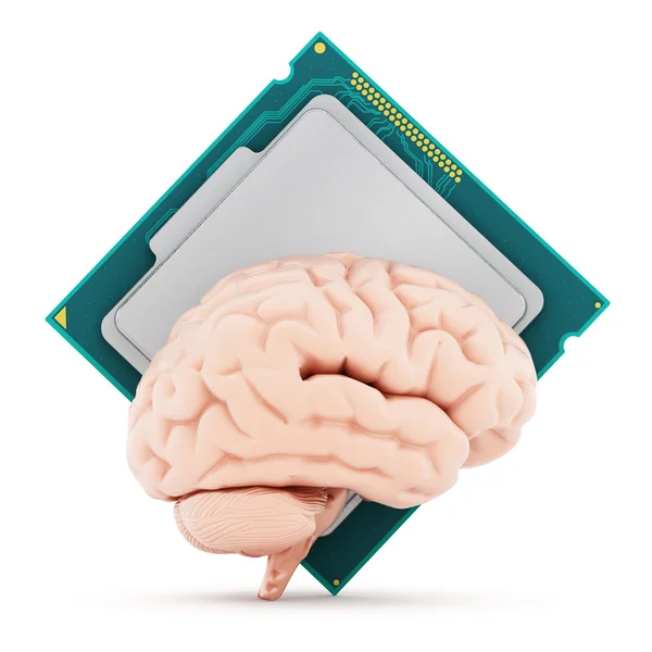 Microprocessor en menselijk brein. 3D illustratie — Stockfoto