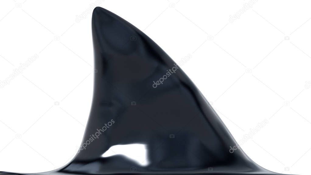 Shark fin isolated on white background. 3D illustration.