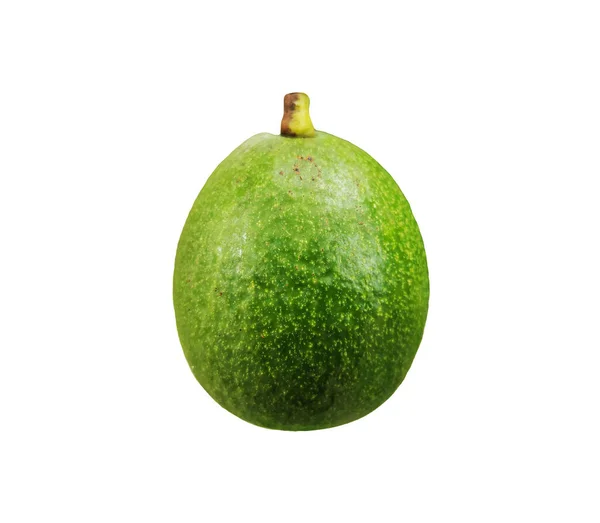 Single Groene Verse Avocado Fruit Geïsoleerd Witte Achtergrond Zonder Schaduw — Stockfoto