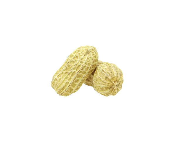 Dois Amendoins Com Textura Isolada Sobre Fundo Branco Amendoins Secos — Fotografia de Stock