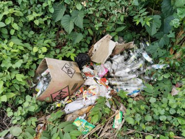 Yeşil yaprakların ortasında büyüyen çöp yığını.