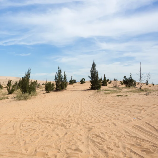 Pista de ruedas en el desierto de dunas de arena blanca en Mui Ne, Vietnam — Foto de Stock