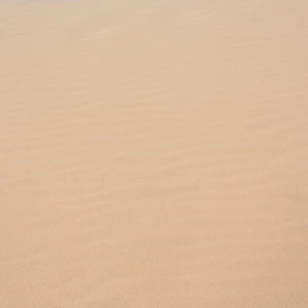 White sand dune desert in Mui Ne, Vietnam — Stock Photo, Image