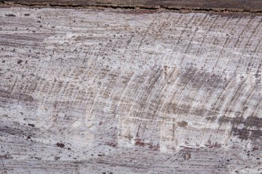 Beyaz ahşap doku arka plan yaşlı