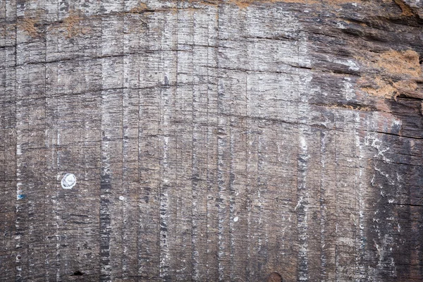 Madera blanca textura envejecida fondo — Foto de Stock