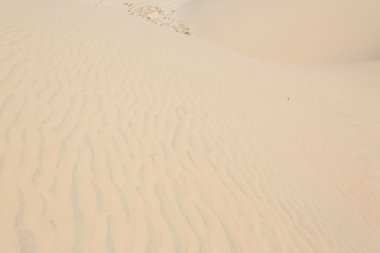 MUI Ne, Vietnam beyaz kumul çöl