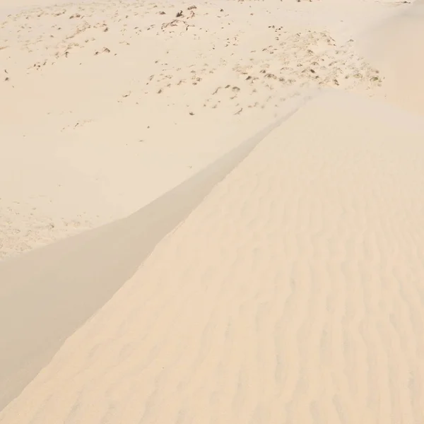 White sand dune desert in Mui Ne, Vietnam — Stock Photo, Image