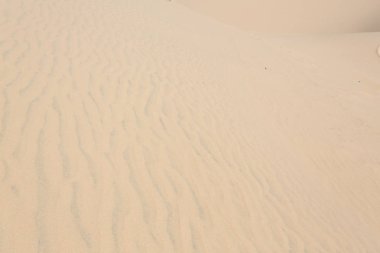 MUI Ne, Vietnam beyaz kumul çöl