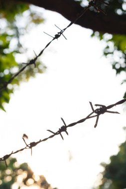 dikenli tel çit ile keskin sivri