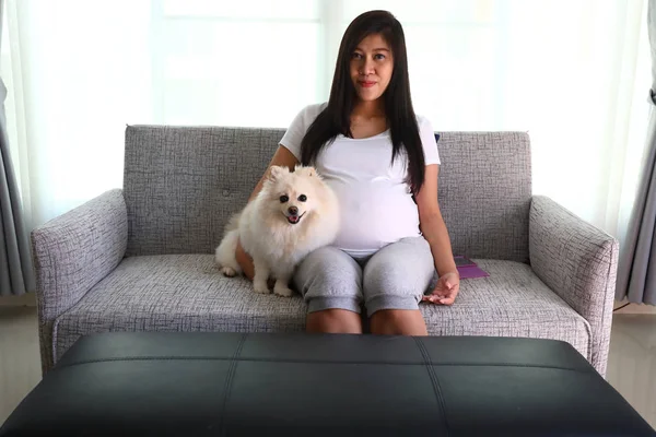 Těhotná žena a domácí zvířata roztomilý špicl pes — Stock fotografie