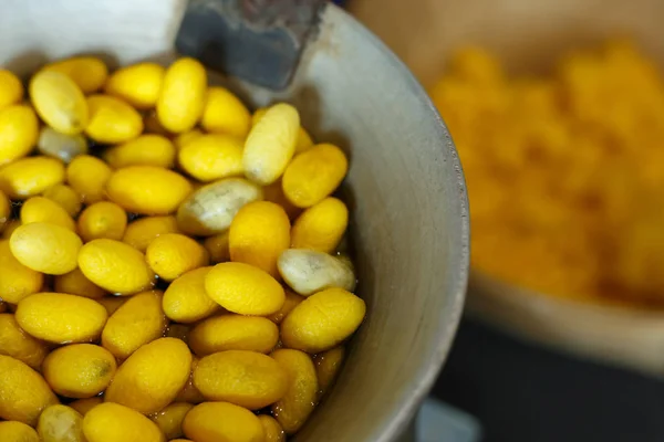 Golden yellow cocoon silkworm process to silk thread textile — Stock Photo, Image