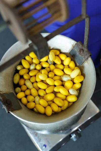 Golden yellow cocoon silkworm process to silk thread textile — Stock Photo, Image